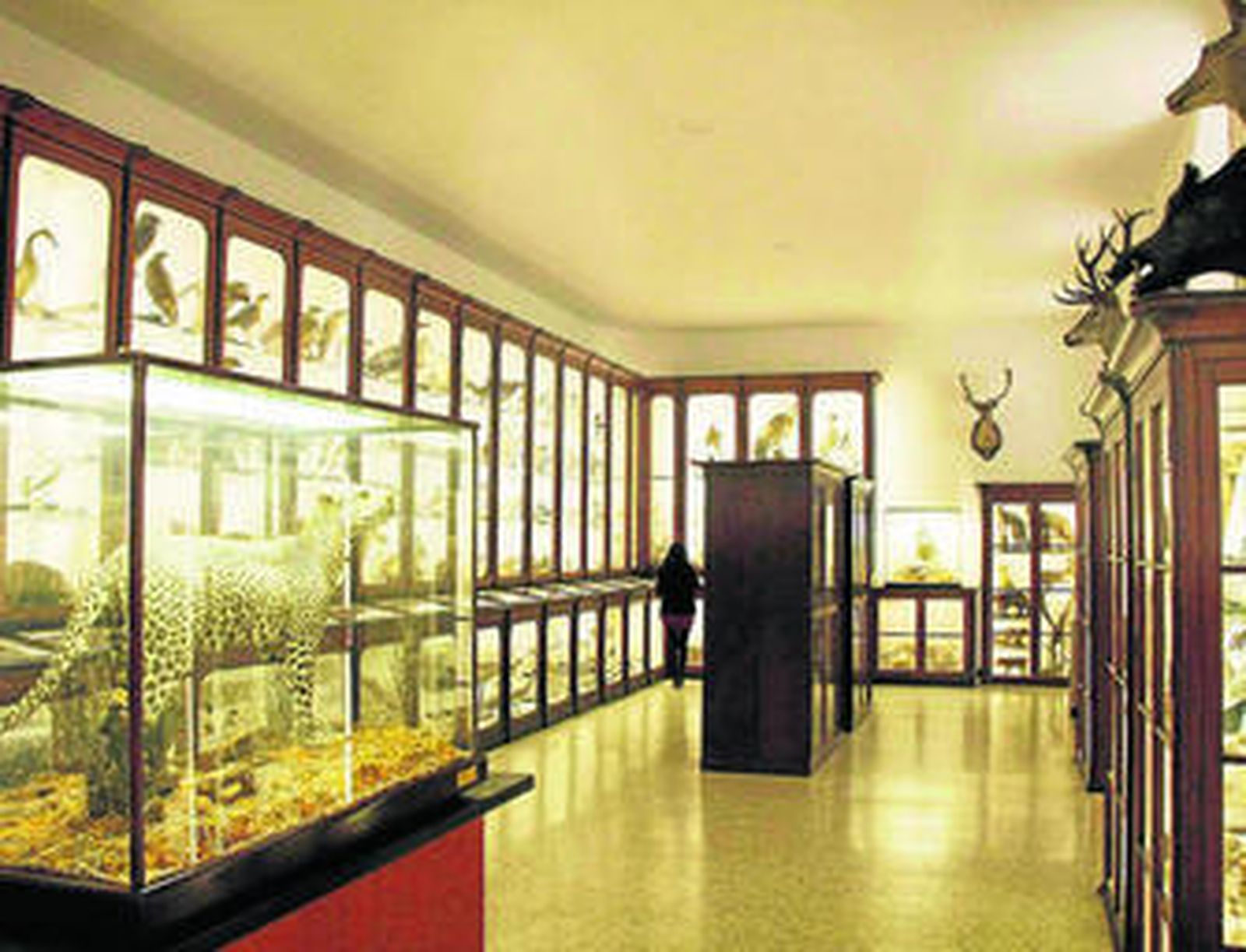 El museo sirve para la enseñanza de los alumnos del colegio, además de acoger visitas de otros centros educativos.