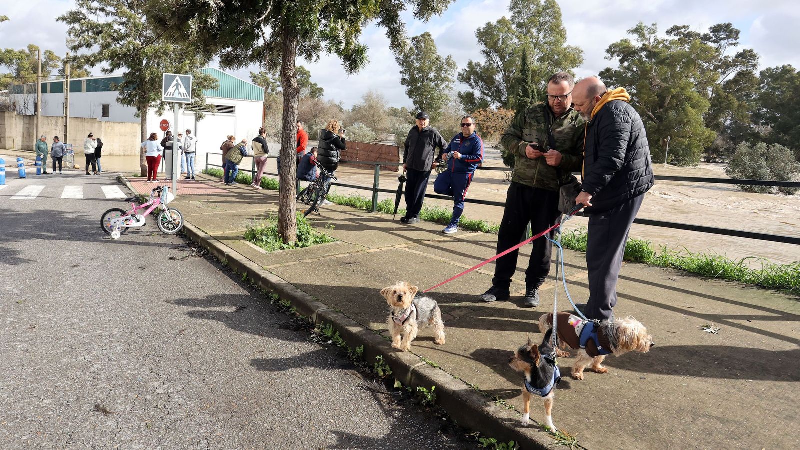 Así afronta la zona rural de Jerez la subida del río Guadalete