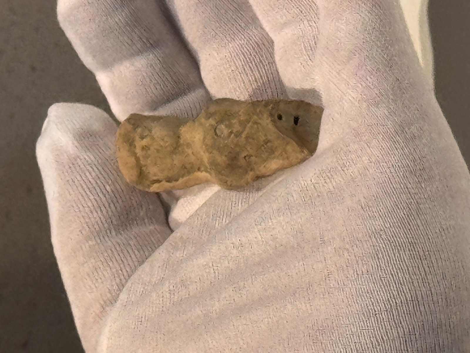 Imágenes de la Recepción en el Museo de Huelva del silbato turdetano hallado en Doñana