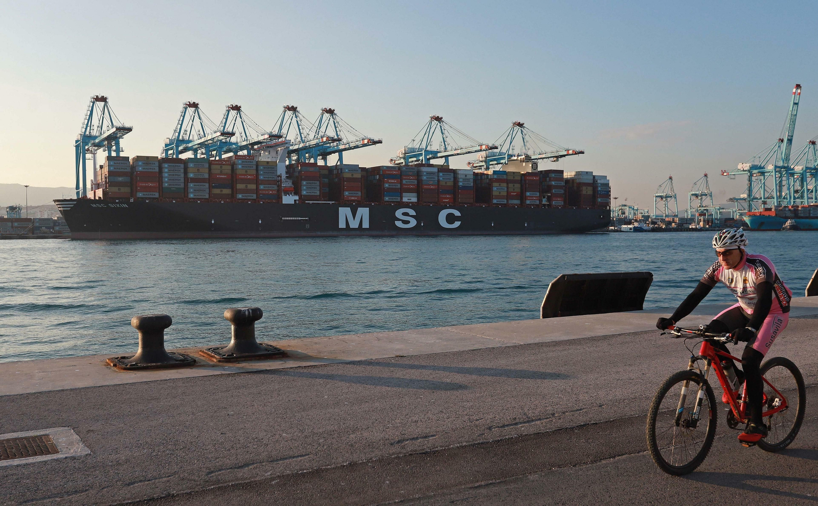 El portacontenedores 'MSC Sixin', uno de los más grandes del mundo, en enero en el Puerto