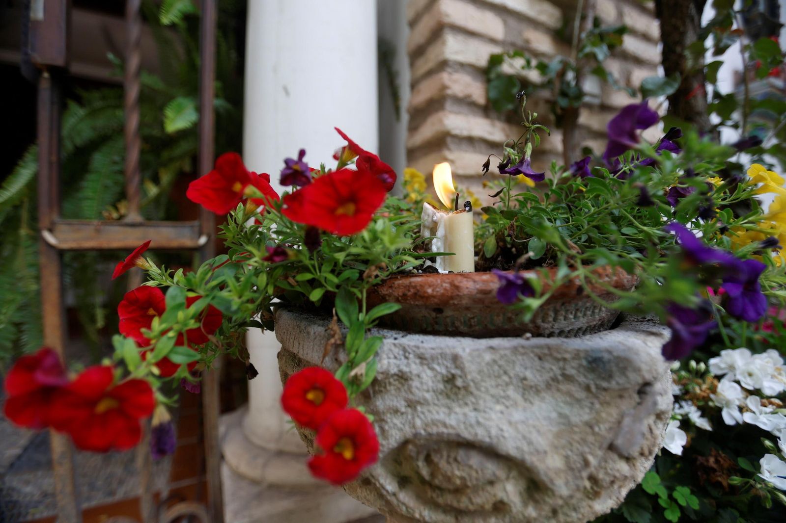 Los Patios de Córdoba que abren este Viernes Santo, en imágenes