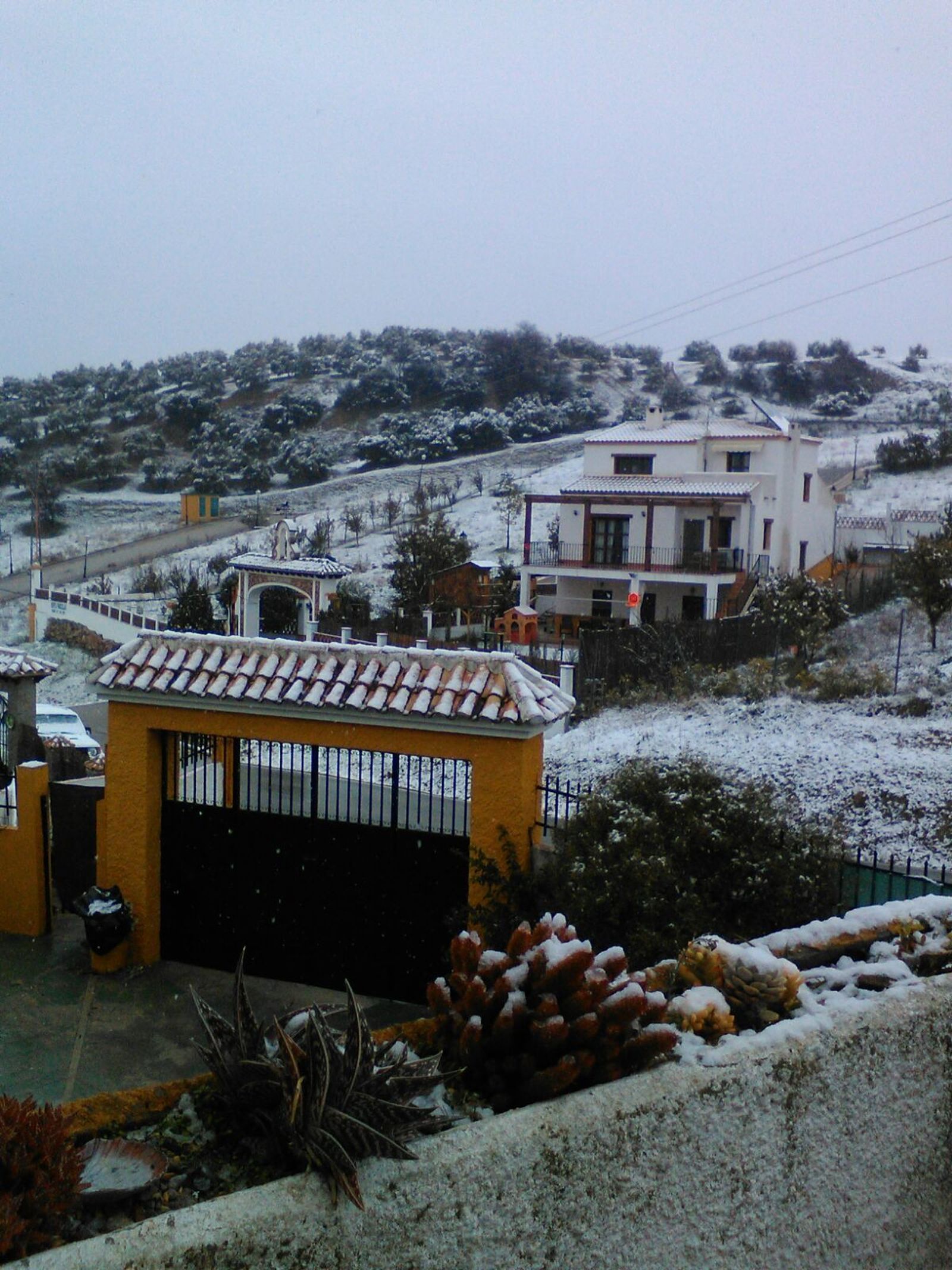 Paisaje nevado en Algámitas.