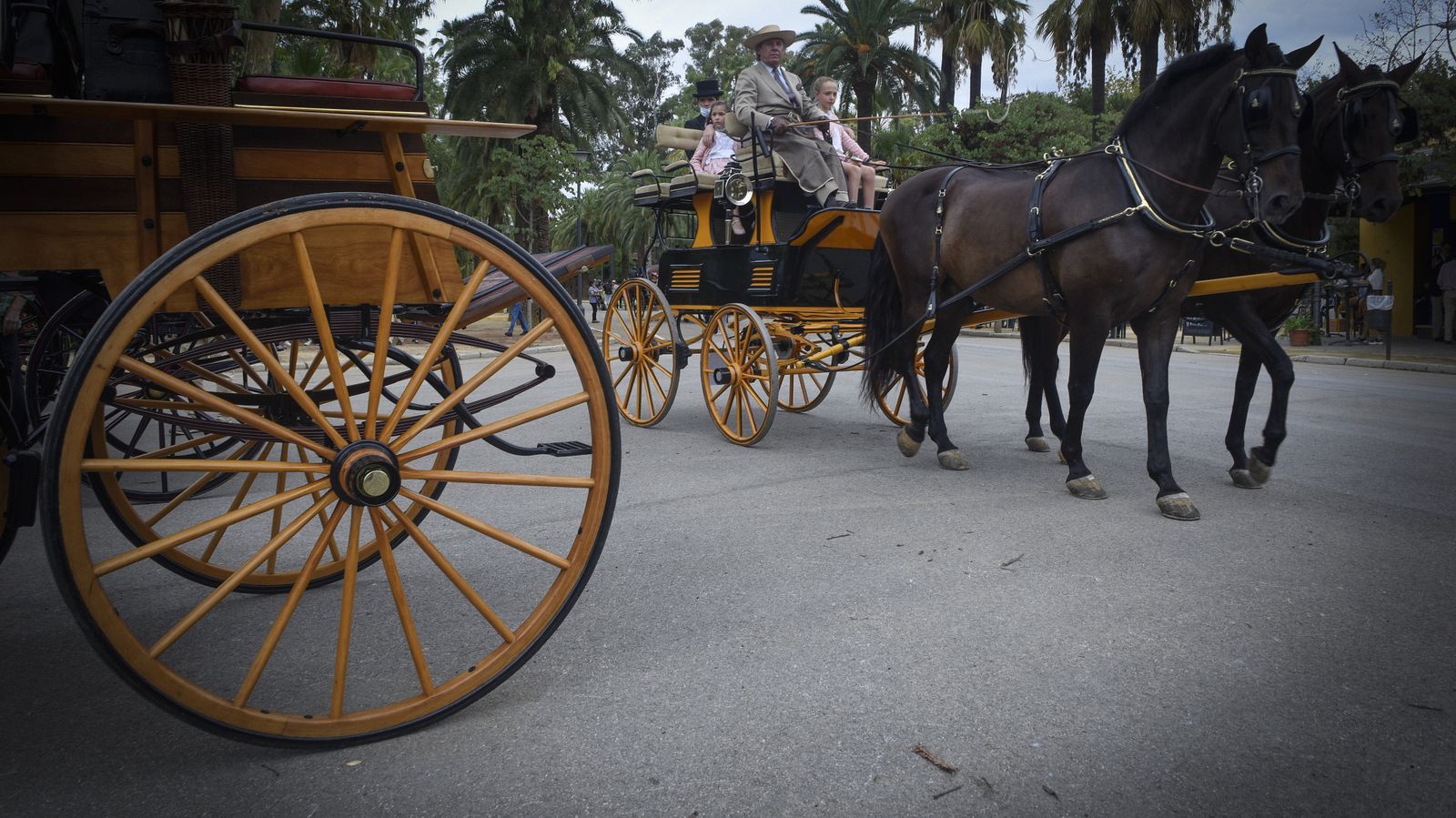 Exhibición de enganches y paseo de carruajes por el parque de María Luisa