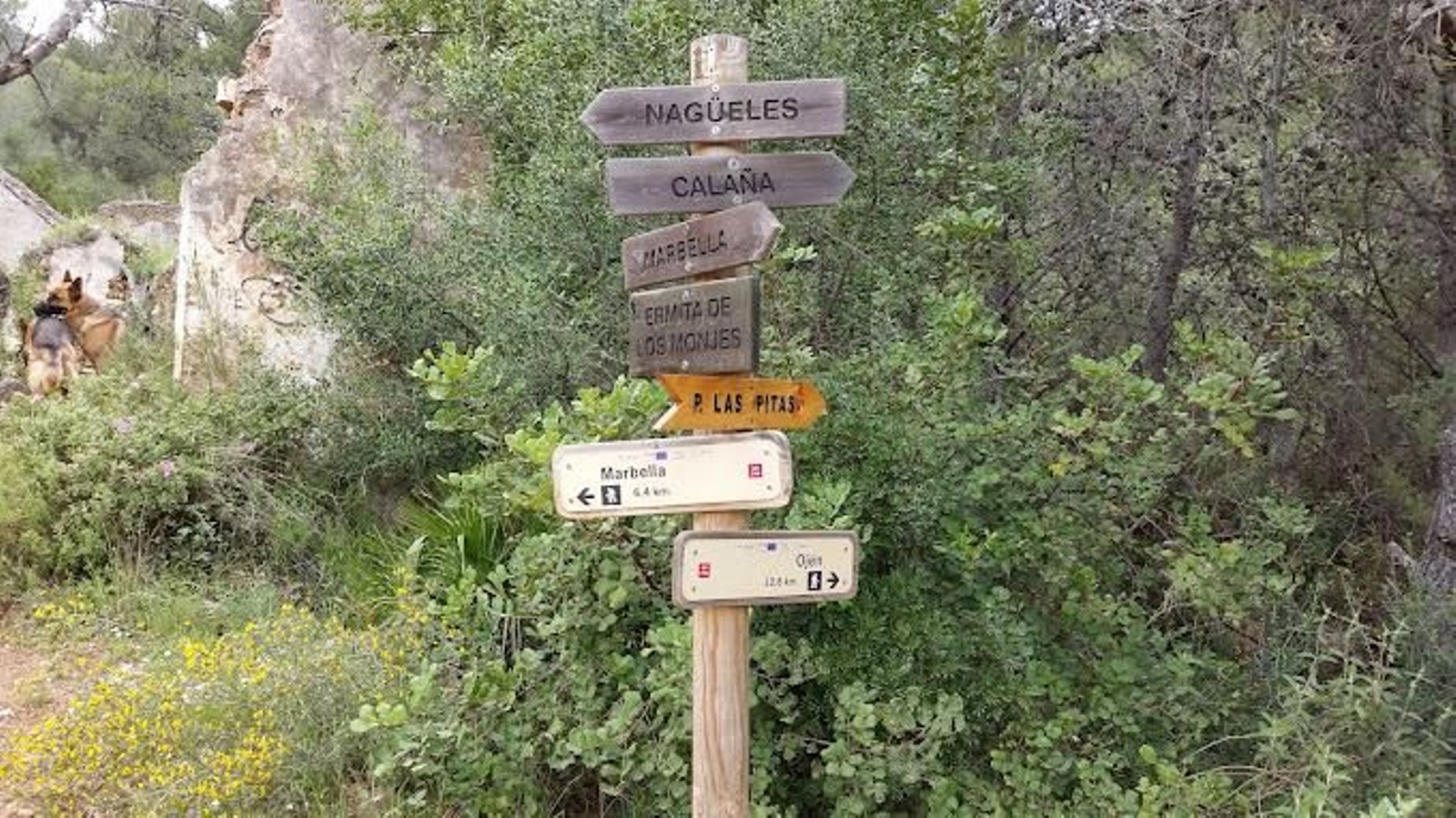 Una de las señalizaciones del camino.