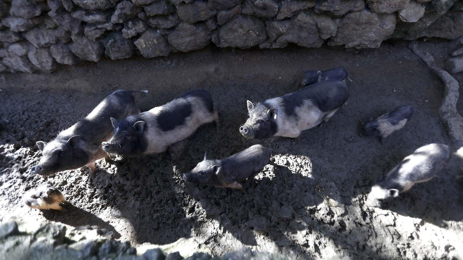 Las fotos del Zoo de Castellar de la Frontera