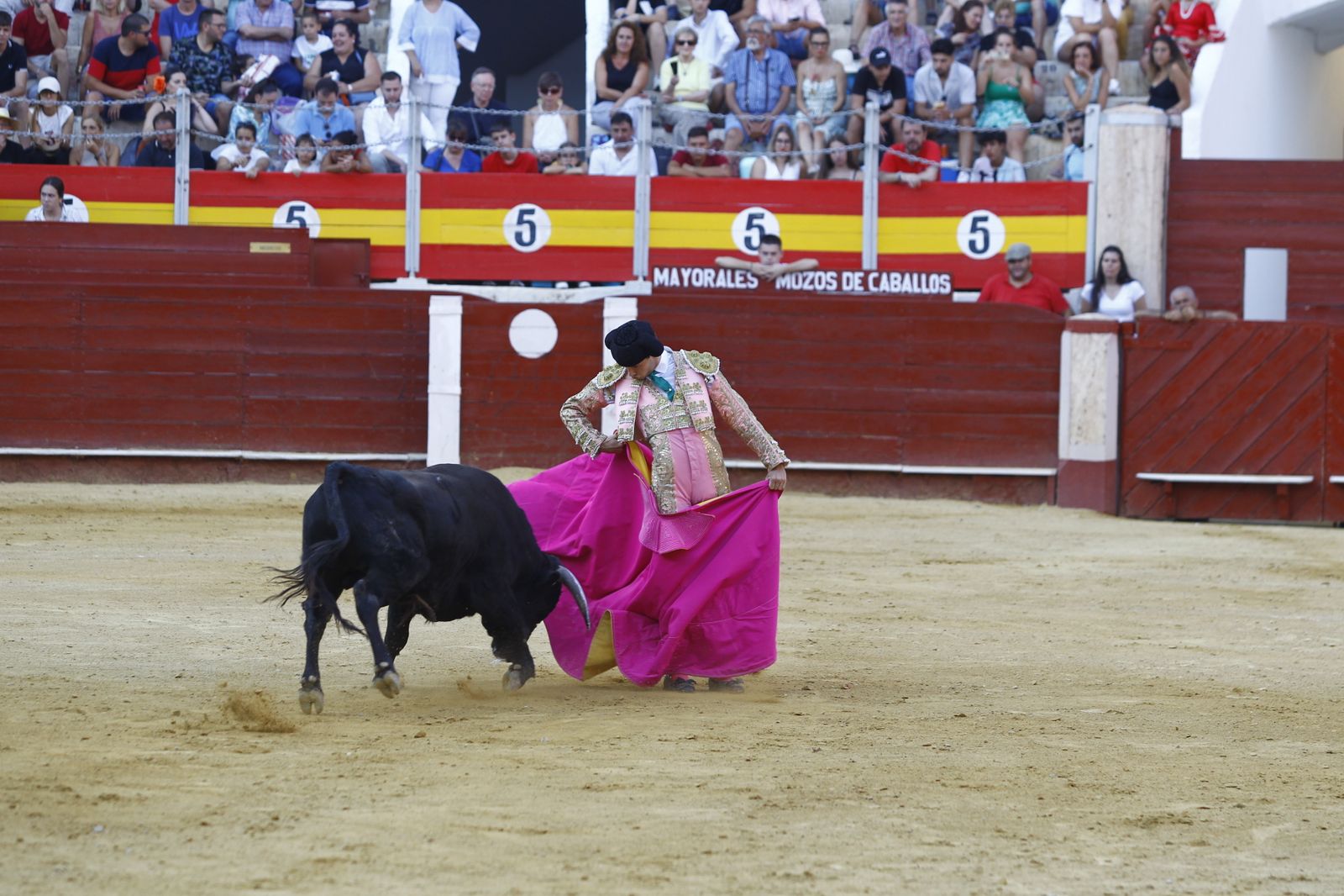 Imágenes de la novillada organizada por la Escuela Taurina de Almería