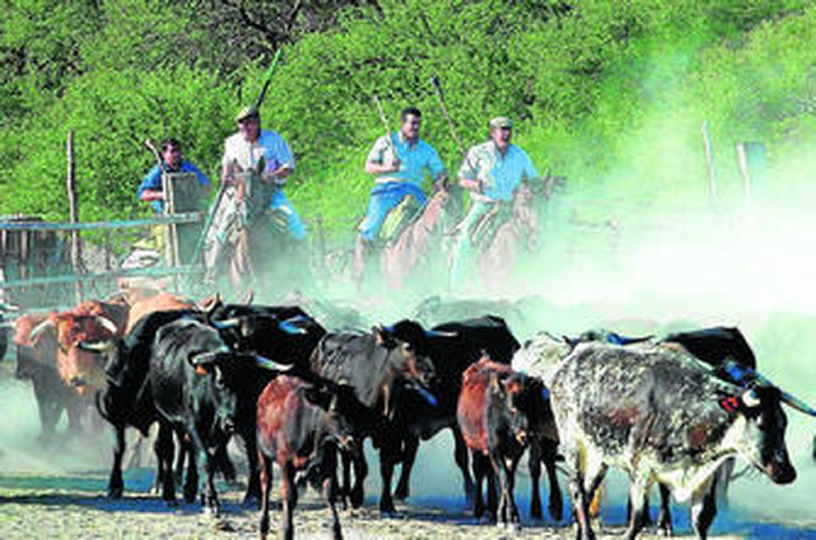 Durante la visita se puede contemplar todas las tareas propias de una ganadería.