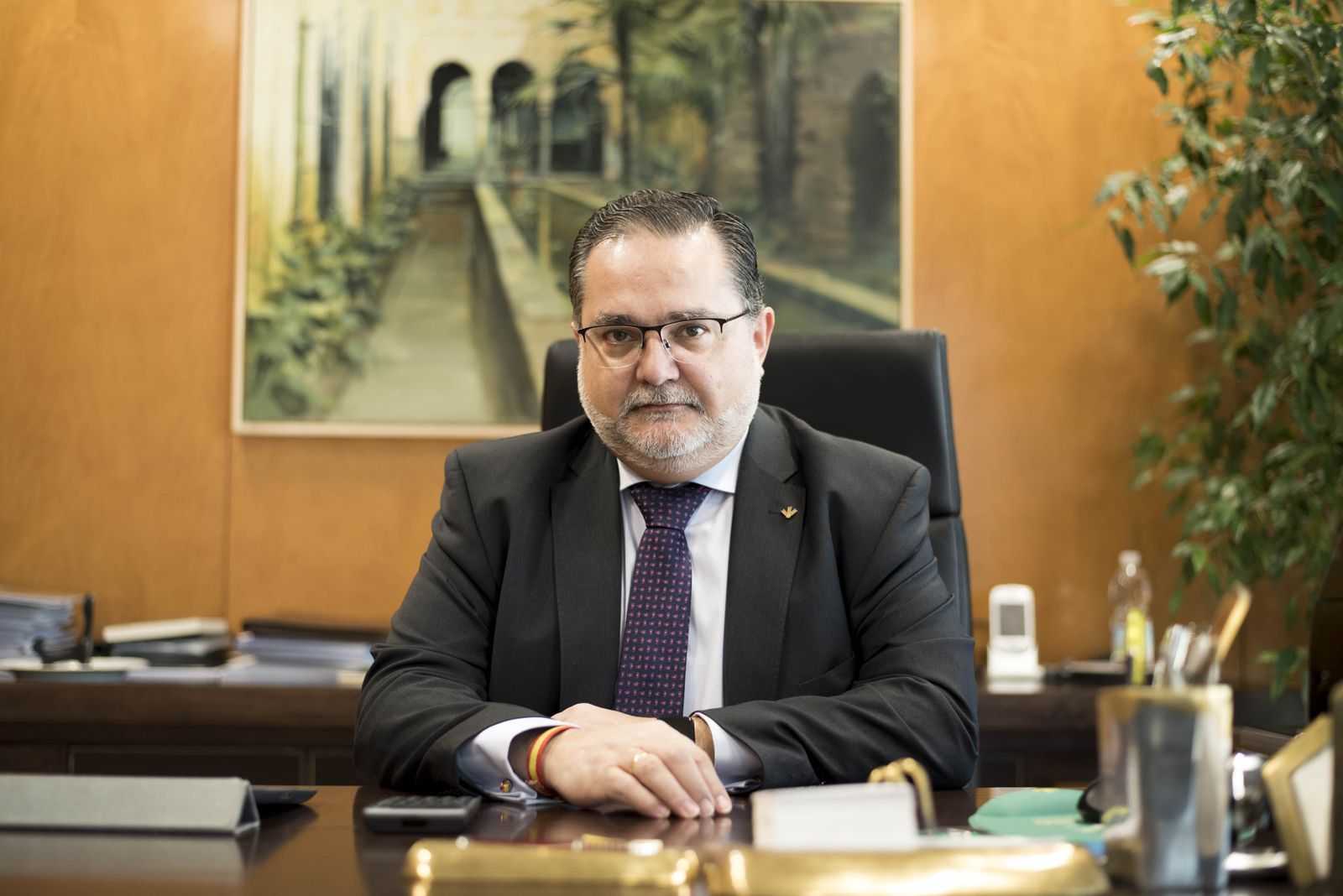 "Hemos salido bastante reforzados de la crisis. Estamos en muy buena situación para crecer"