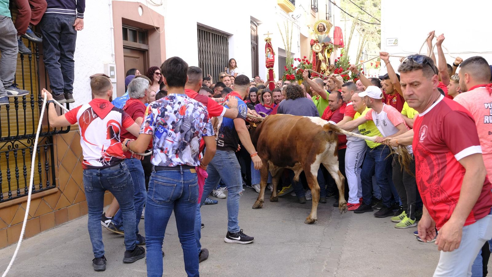 Los toros ensogados de Ohanes, en imágenes