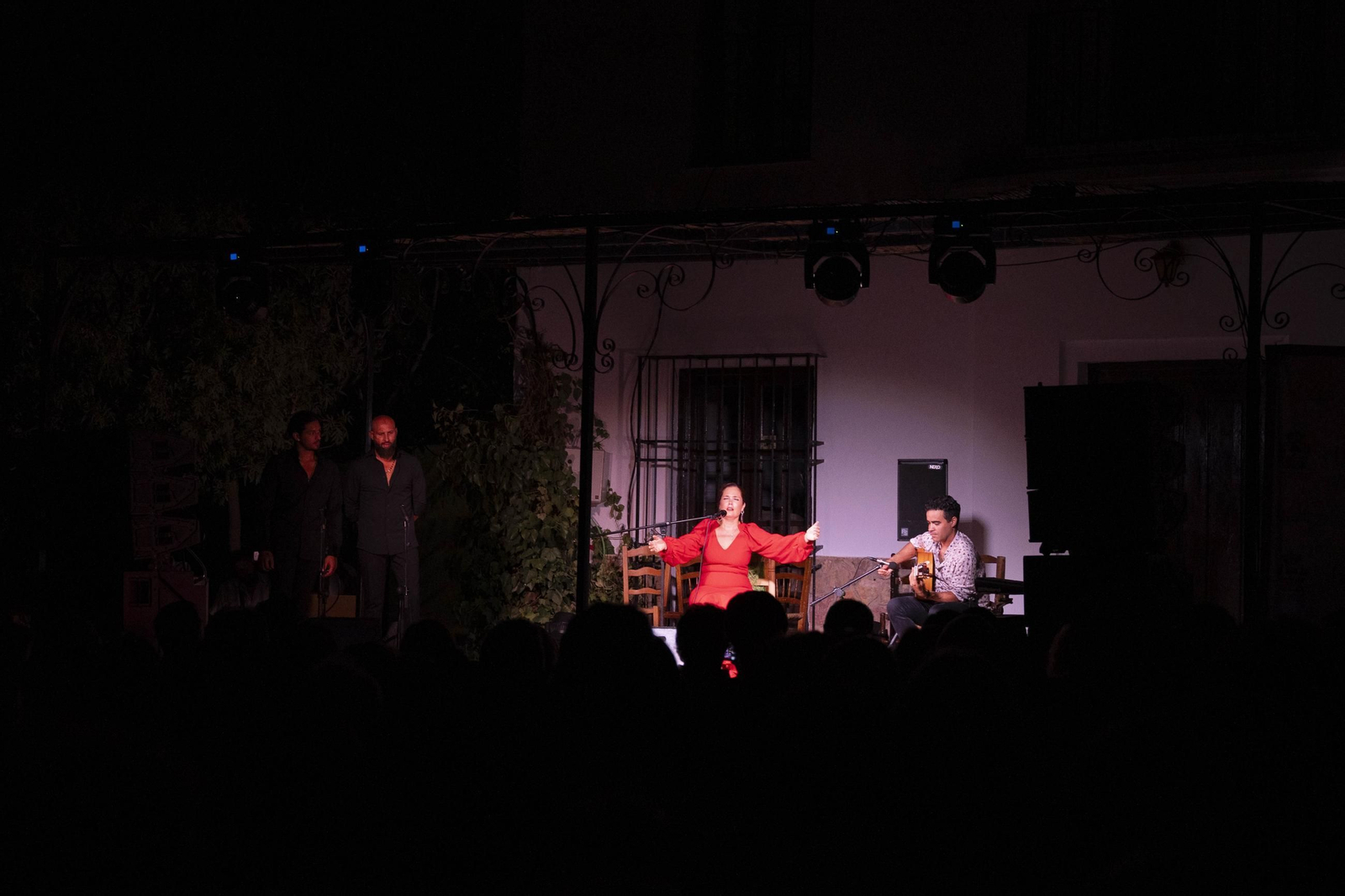 Las mejores imágenes del Festival de Flamenco en Fondón