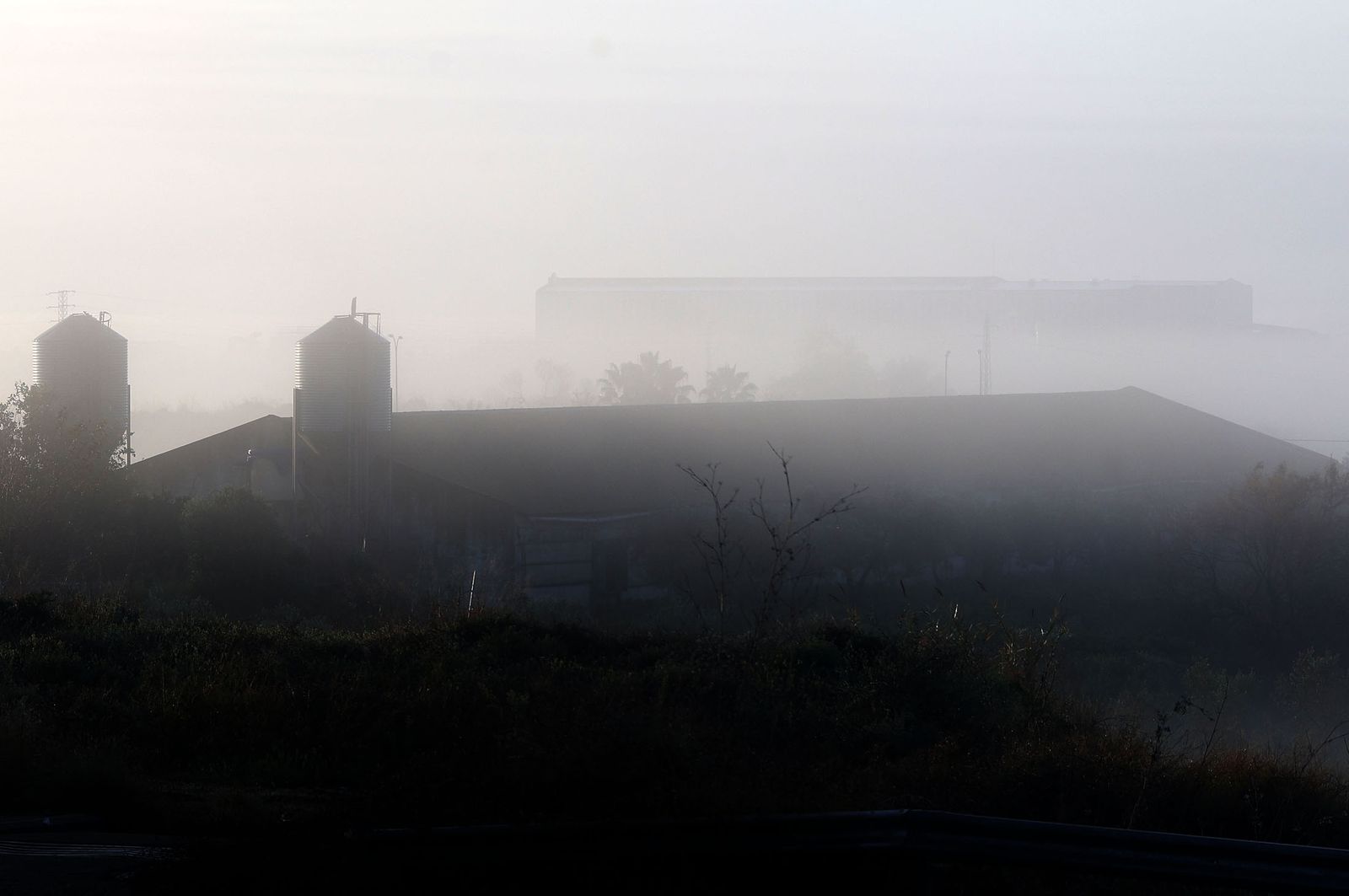 Imágenes de la densa niebla con la que han amanecido varios municipios de Huelva