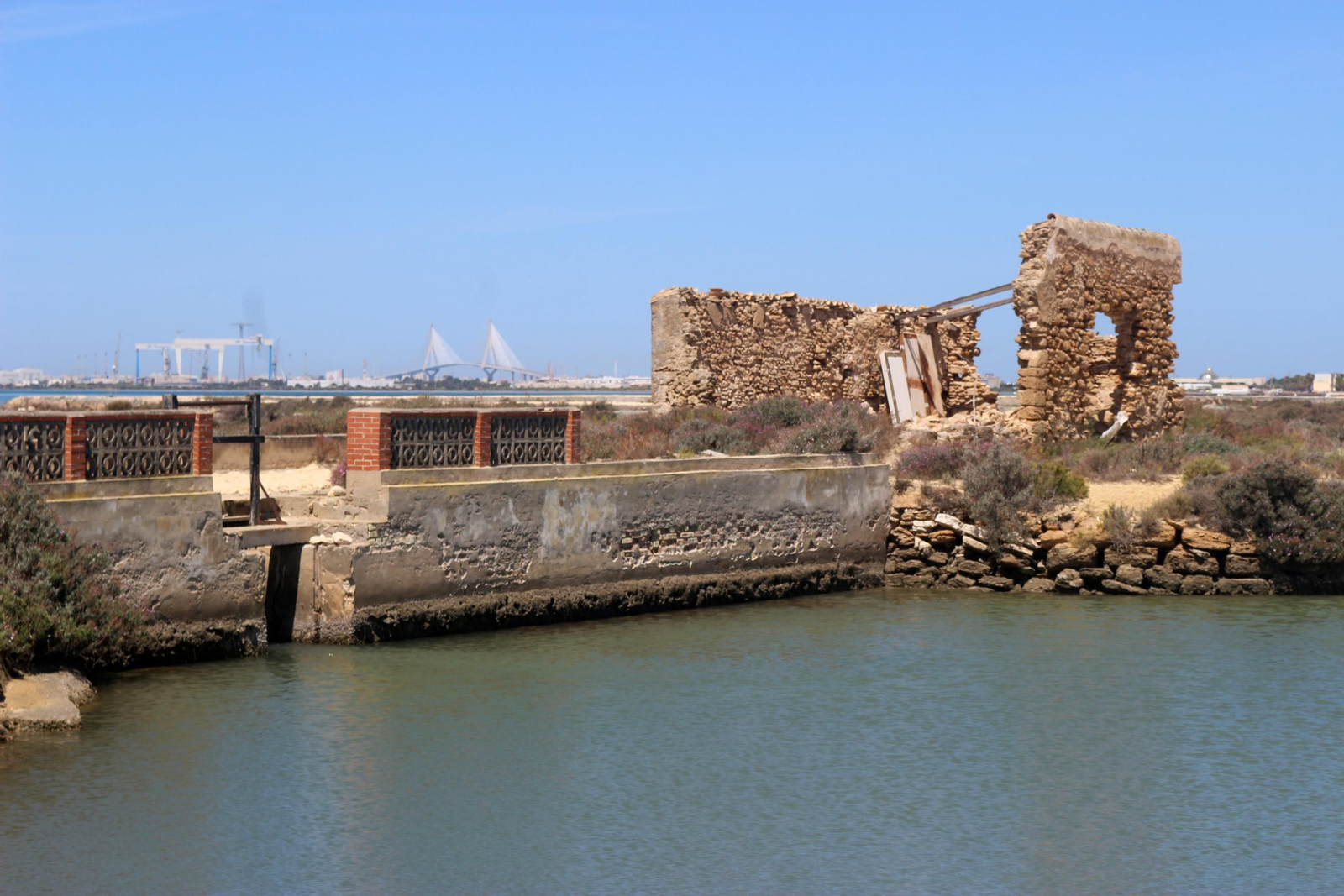 La recuperación de la Salina Balbanera, en imágenes