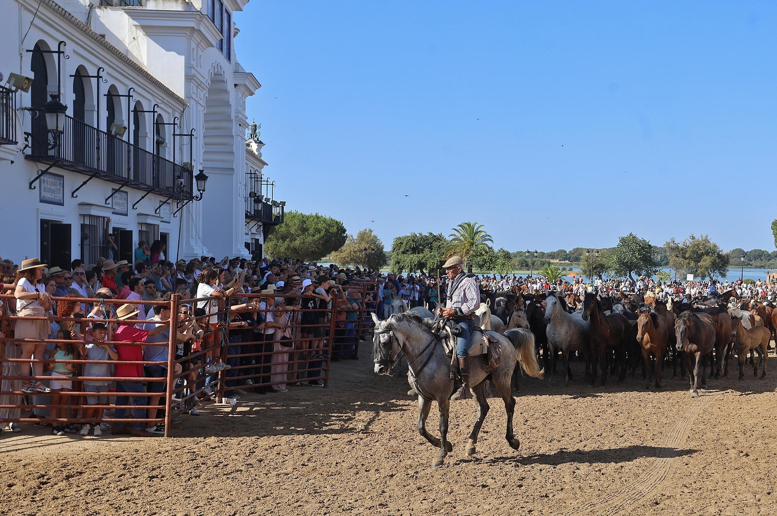 Las mejores imágenes de la Saca de las Yeguas 2025