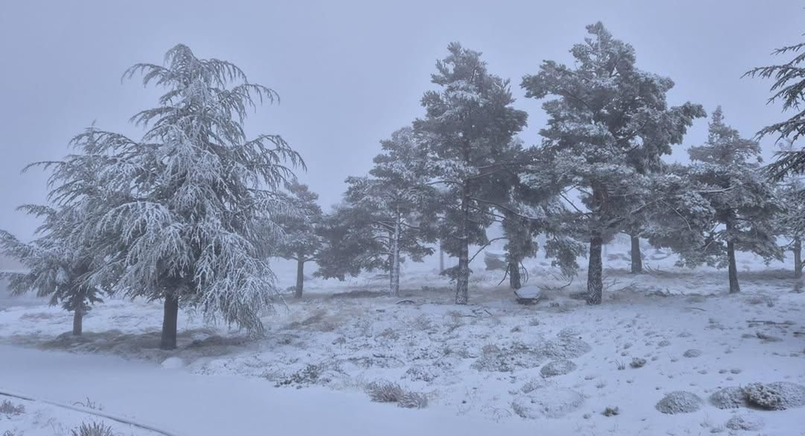 ❄️ El observatorio se viste de invierno con unos 4 cm de nieve- un paisaje de postal que quita e (2)
