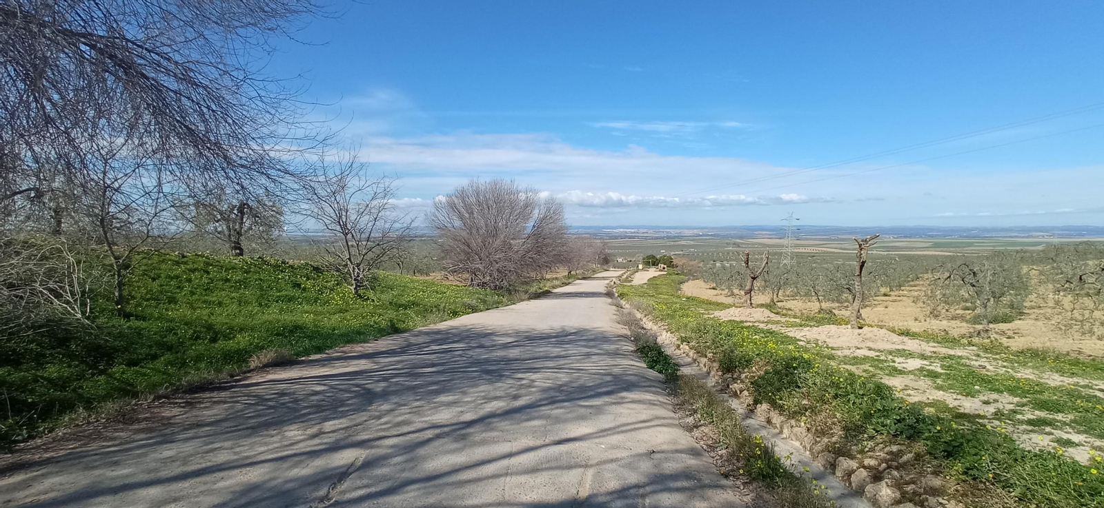 Las imágenes de la ruta de la dehesa de Albaida del Aljarafe