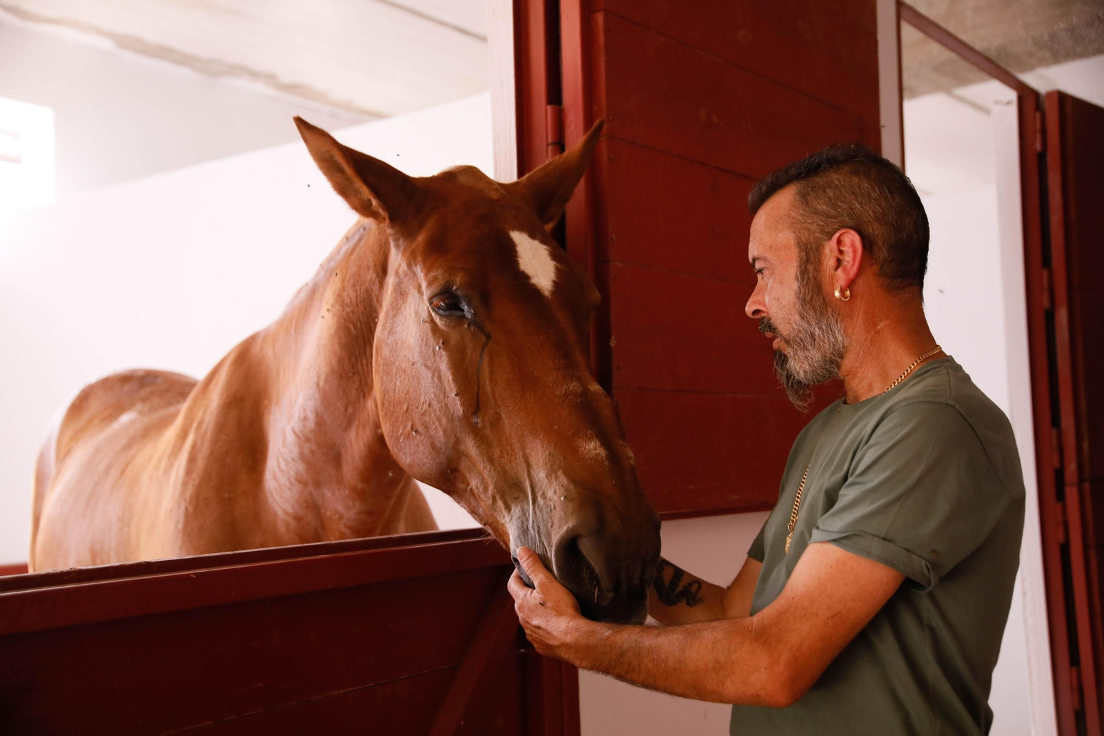 Imágenes de la corrida de toros en Roquetas de Mar