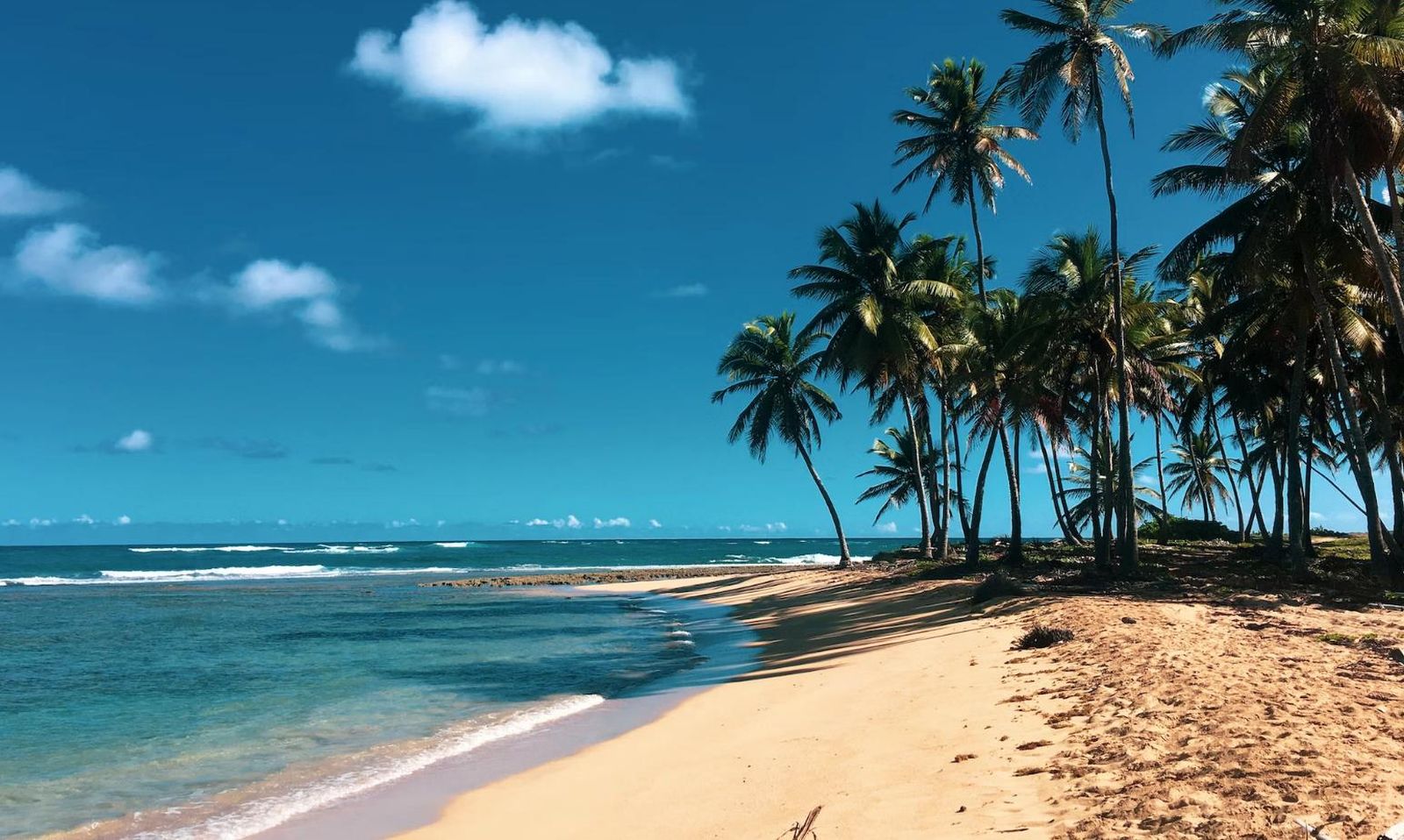 Vacaciones en el mar Caribe: tres países que merece la pena conocer