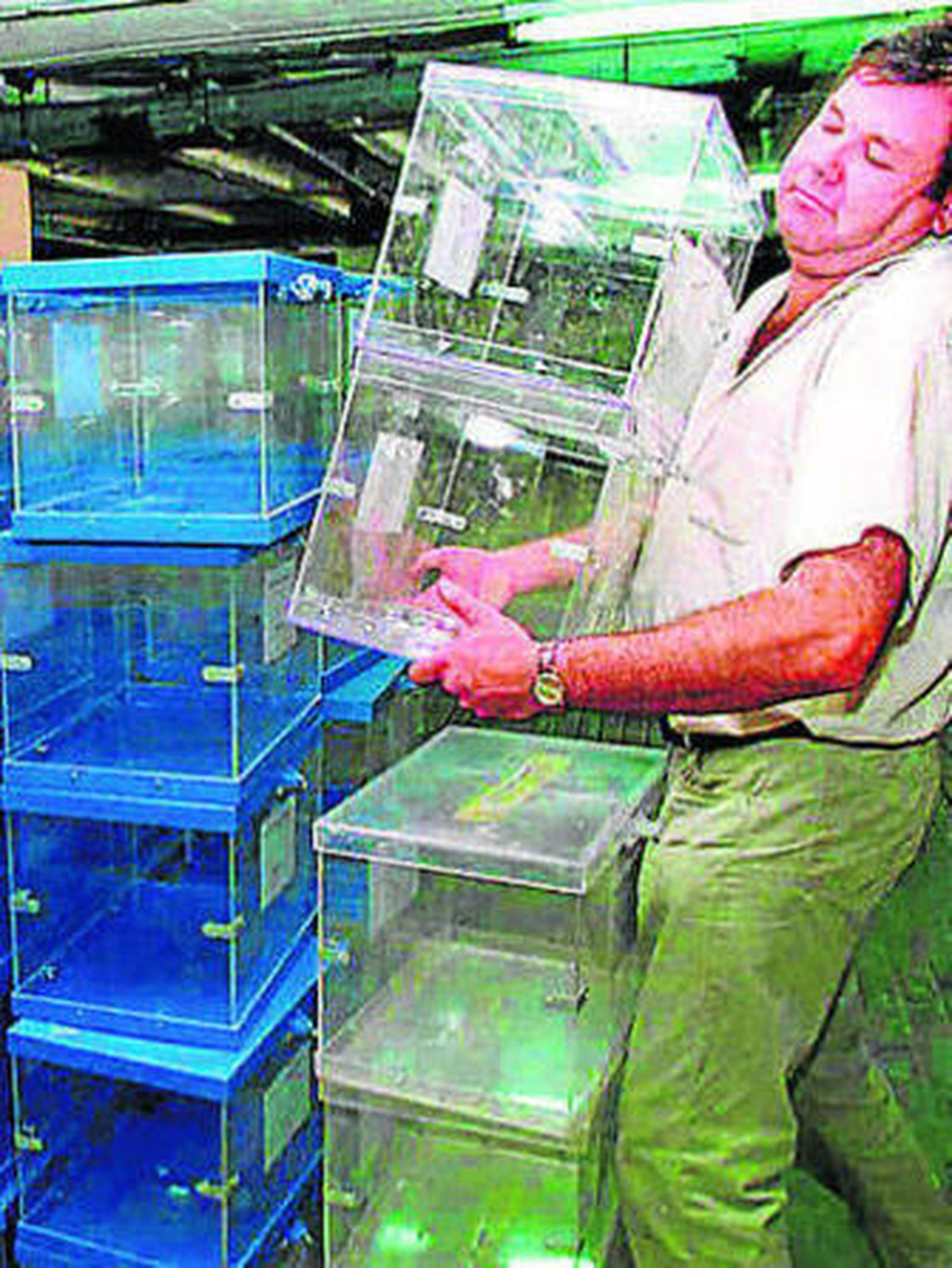 Un operario portando urnas.