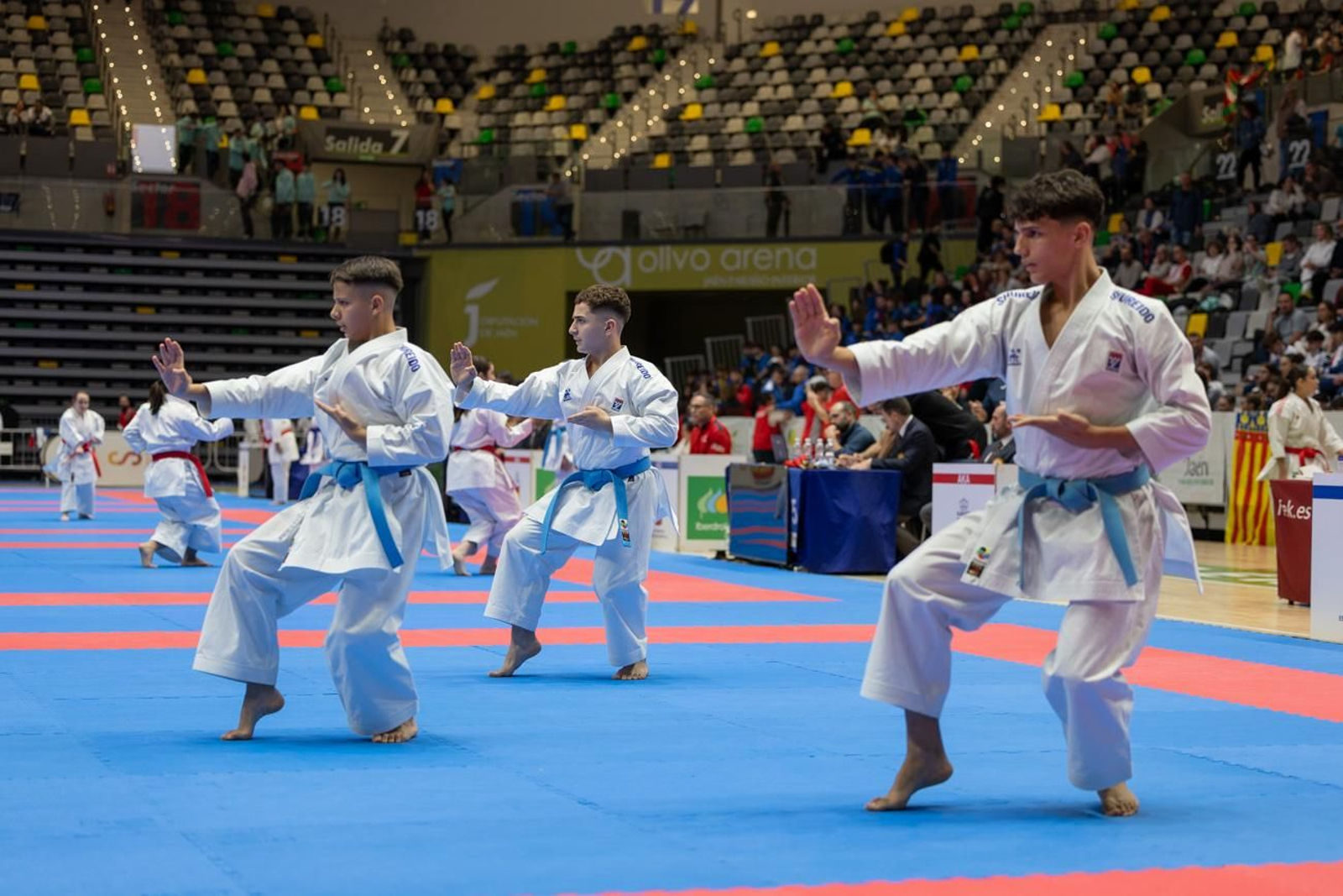 Campeonato de España de Kárate cadete, júnior y sub 21 brilla en Jaén