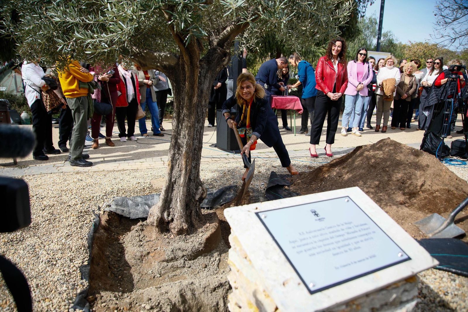Las imágenes de la plantación de un olivo y el entierro de una cápsula del tiempo