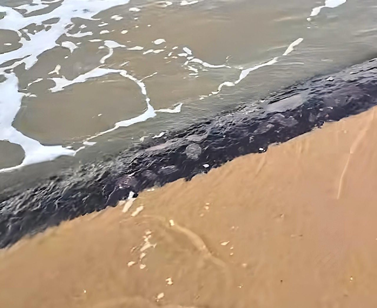 Una gran tubería se deja ver en la playa de Doñana