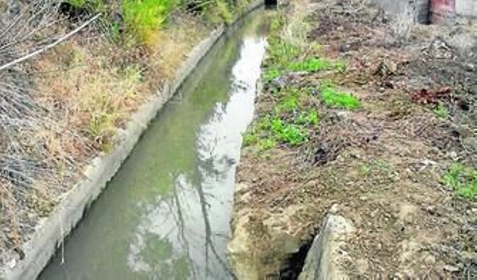 Imagen de uno de los canales de riego en una de las fincas de Tesorillo.