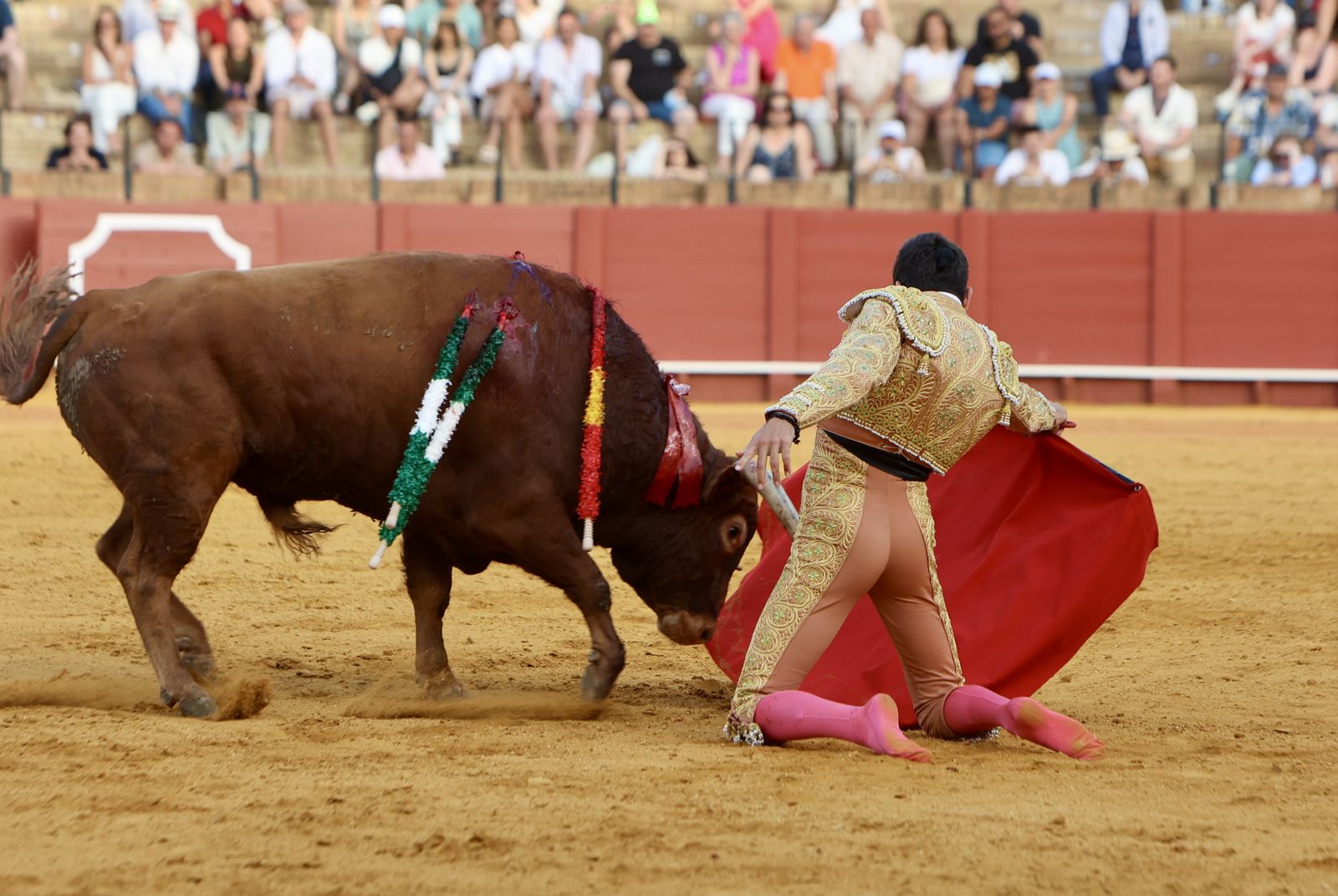 Novillada El Melli, Aarón Palacios y Manuel Jesús  Carrión
