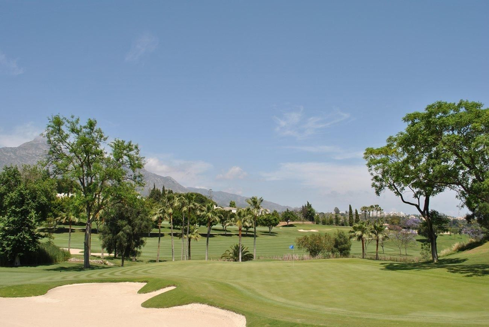 Imagen de Aloha Golf.