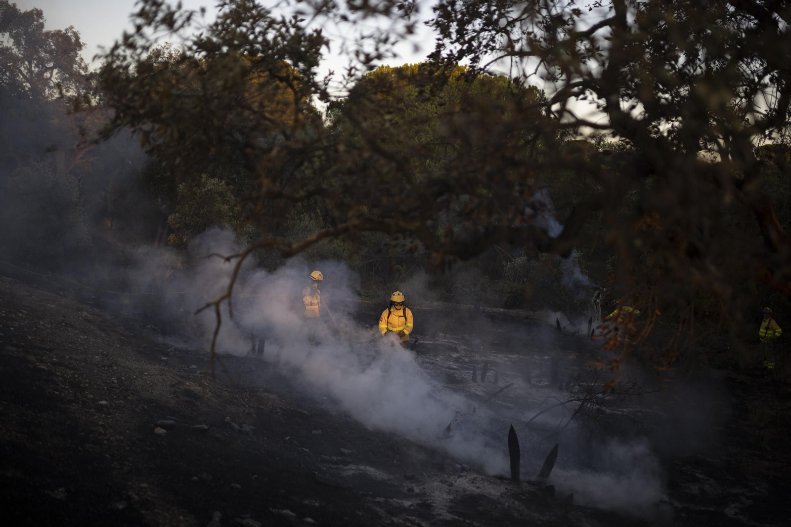 Imágenes del incendio de Bonares