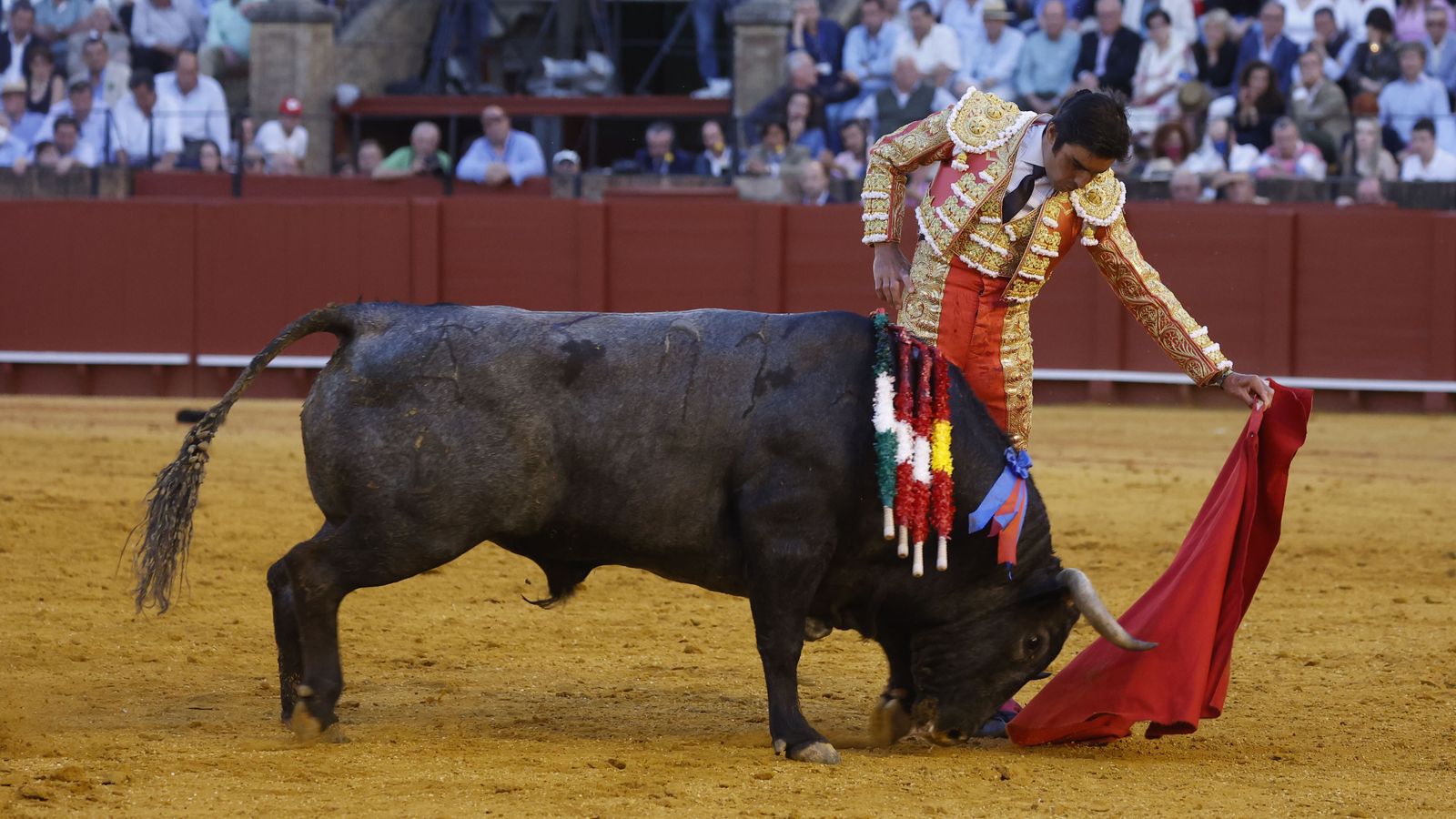 Miguel Ángel Perera, elegante con la muleta.