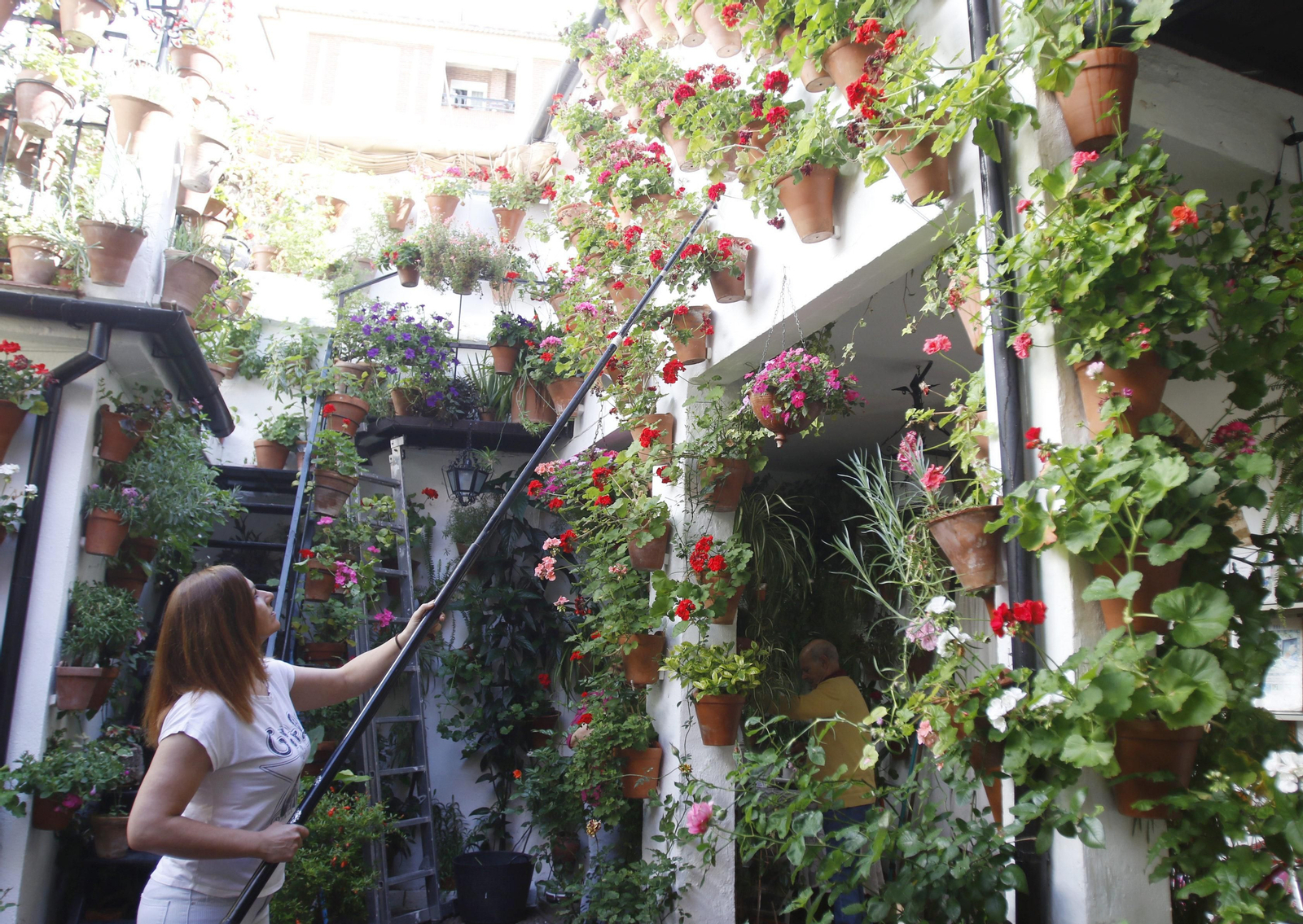 Las fotos de los patios en tiempos de crisis