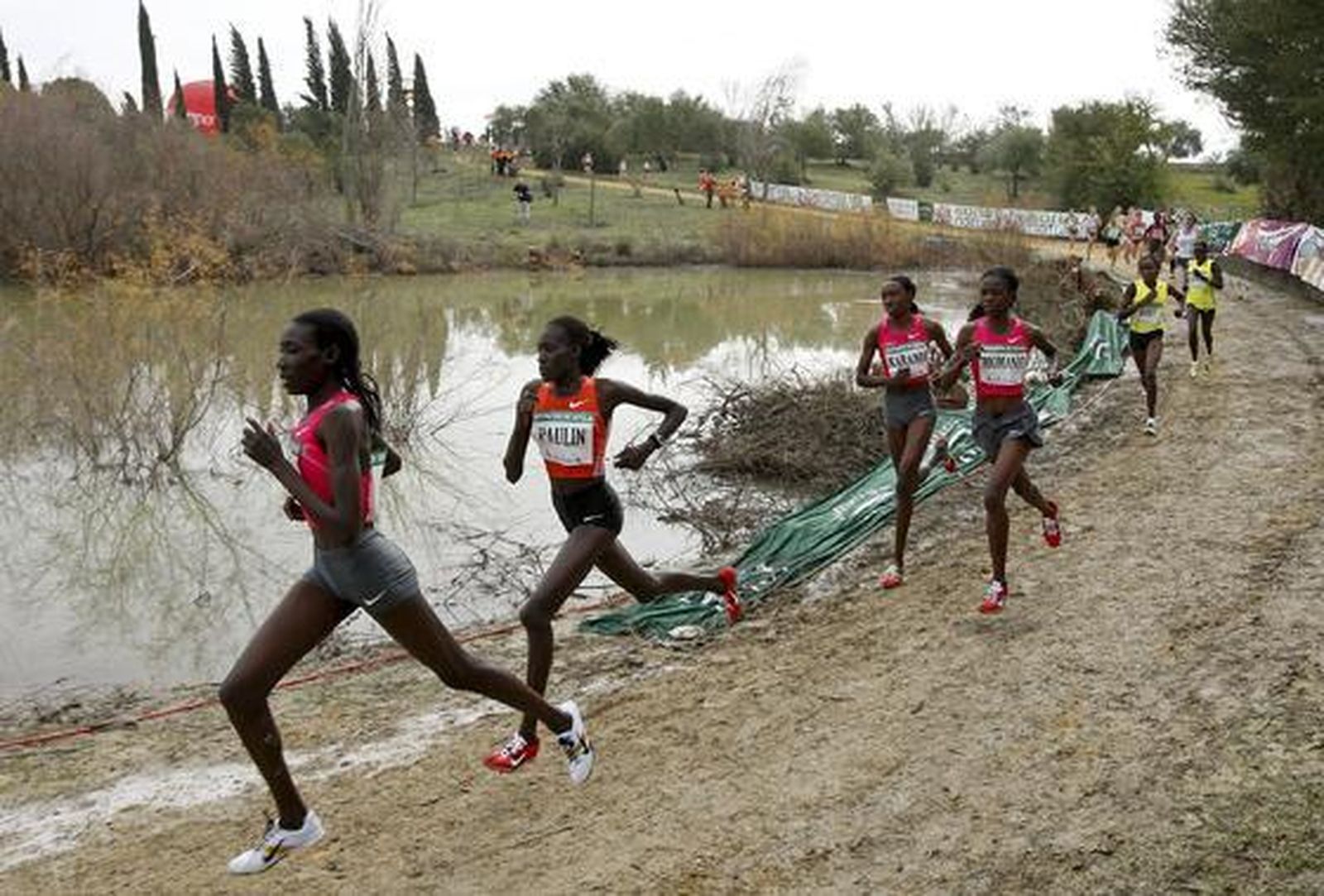 Momento de la carrera femenina de la XXVIII Cross Internacional de Itálica.  Foto: Juan Carlos Vázquez, Julio Muñoz (EFE), Javier Barbancho (Reuters)