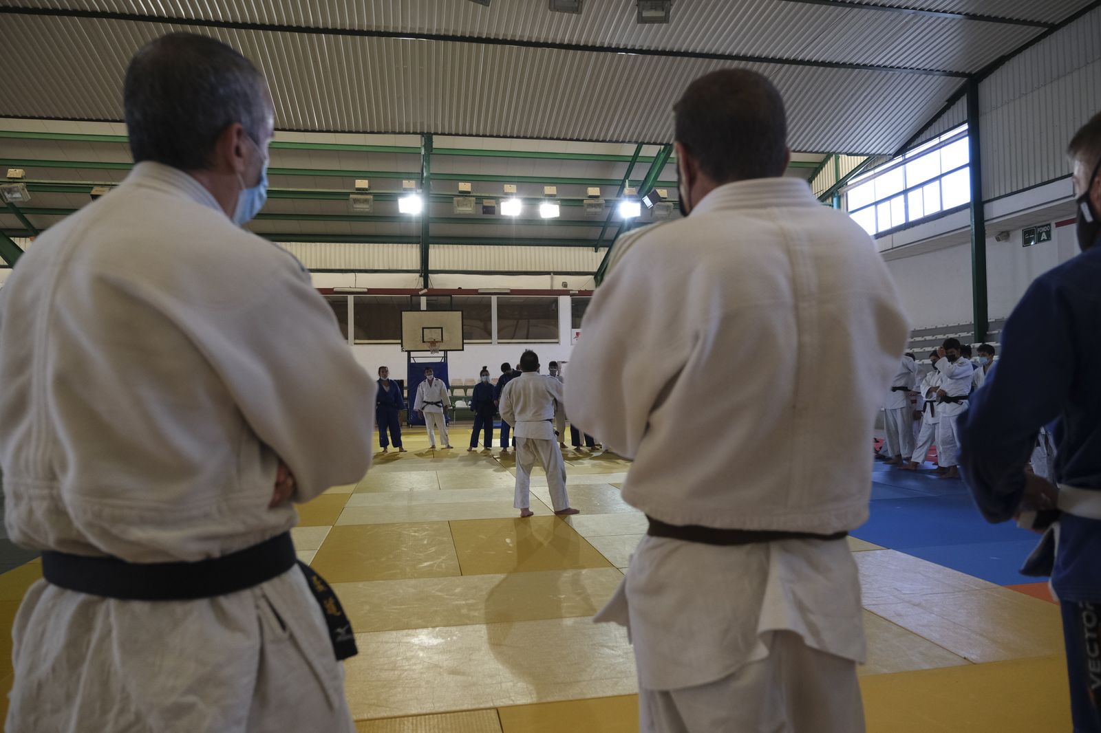 Fotogalería X Campus Internacional de Judo Ciudad de Almería