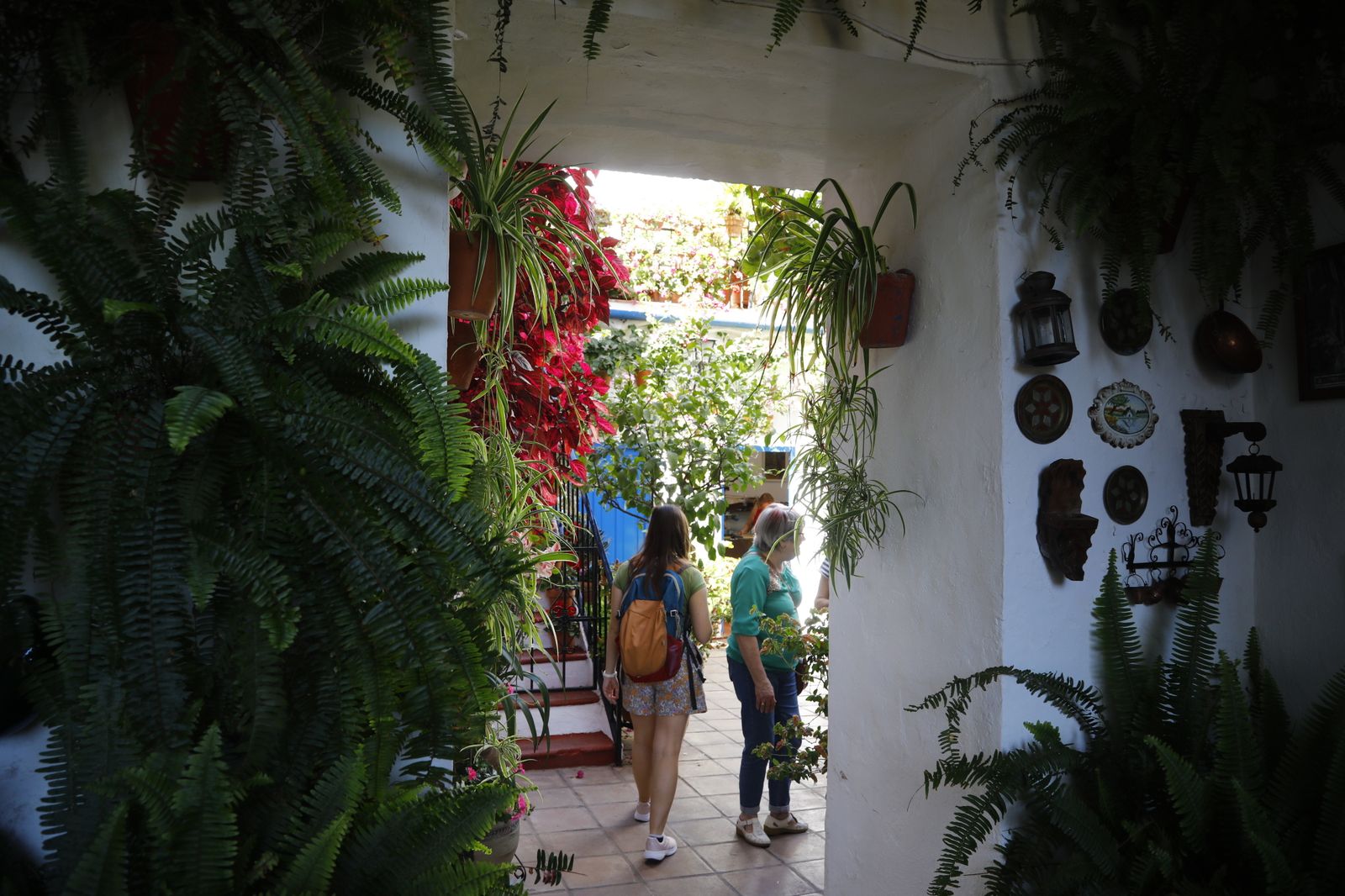 Los Patios de Córdoba se preparan para el fin de semana, en imágenes
