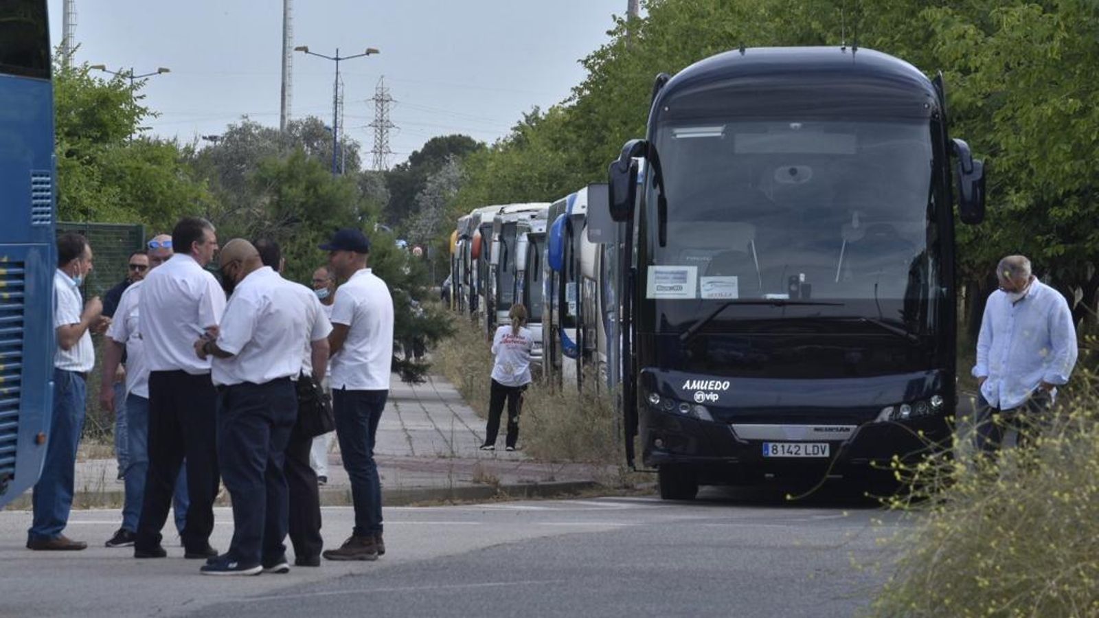Hilera de autobuses en Sevilla preparada para recorrer la ciudad en protesta.