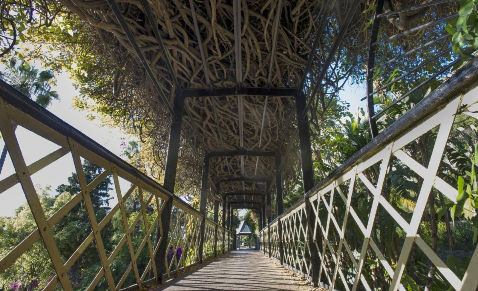 Jardín botánico de Gibraltar
