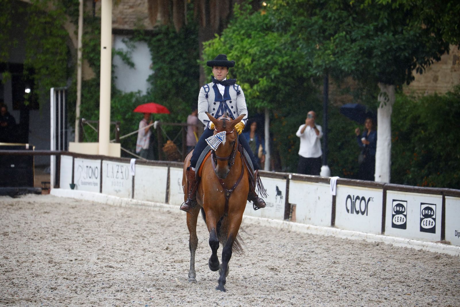 La celebración de la VI Copa de España de Alta Escuela en Córdoba, en imágenes