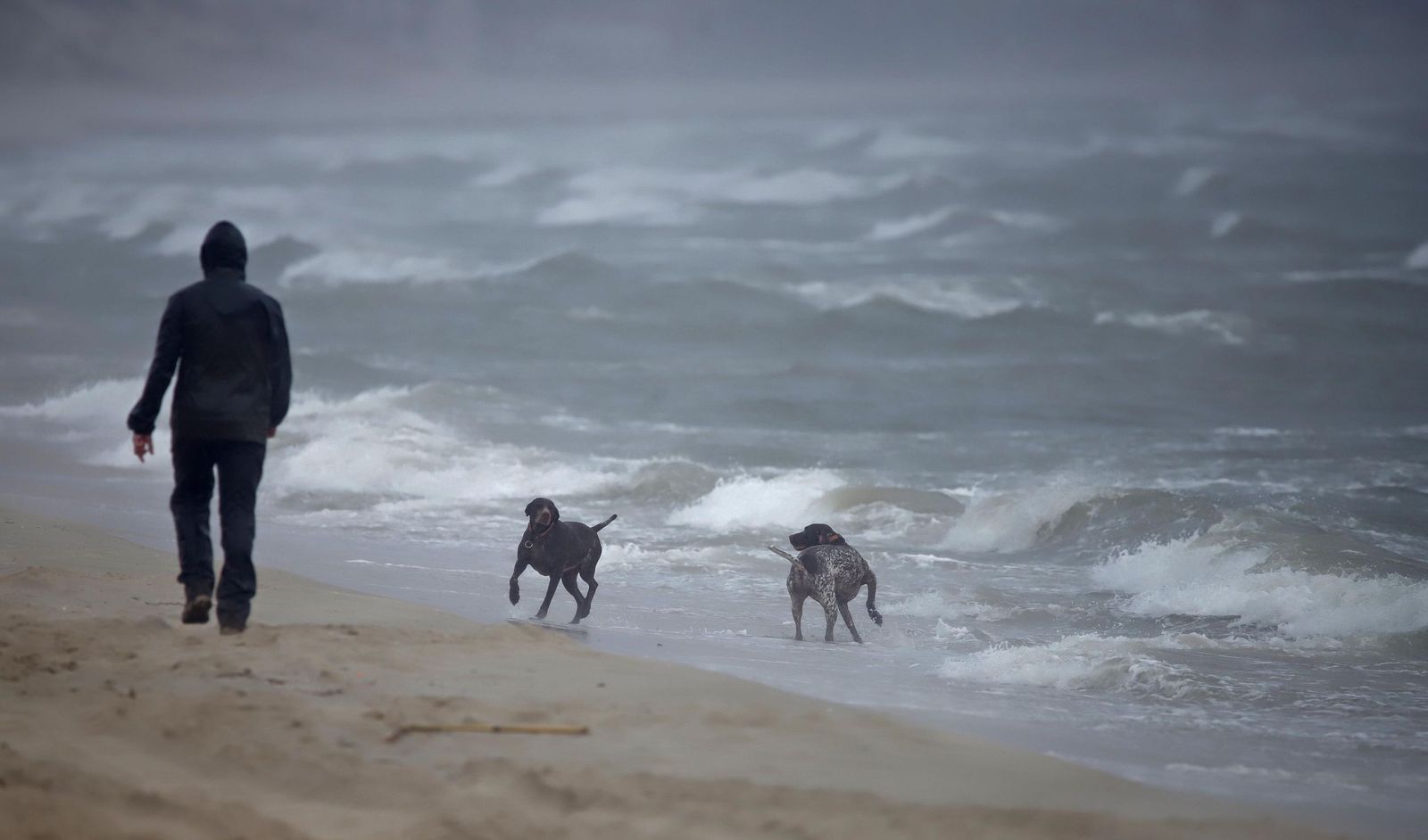 Fotos de la borrasca Joseph: Rachas de 100 km/h cierran el Estrecho y colapsan el Puerto de Algeciras