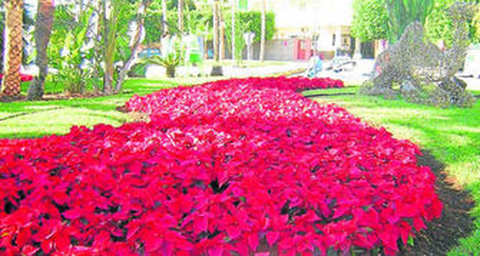 Pascueros en los jardines almerienses.