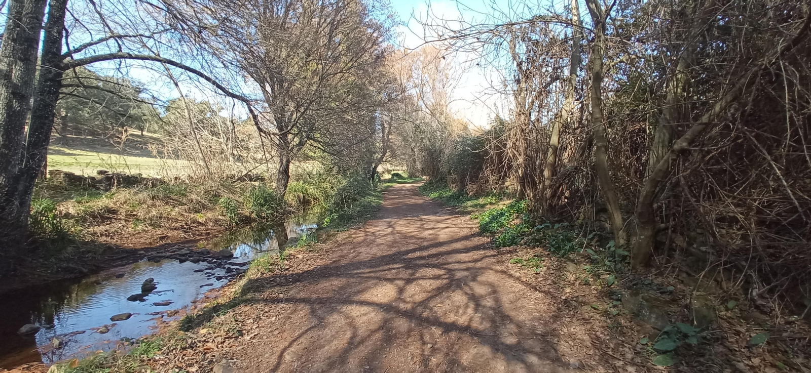 Las imágenes de la ruta de la cascada de Jollarancos y bosque de las letras