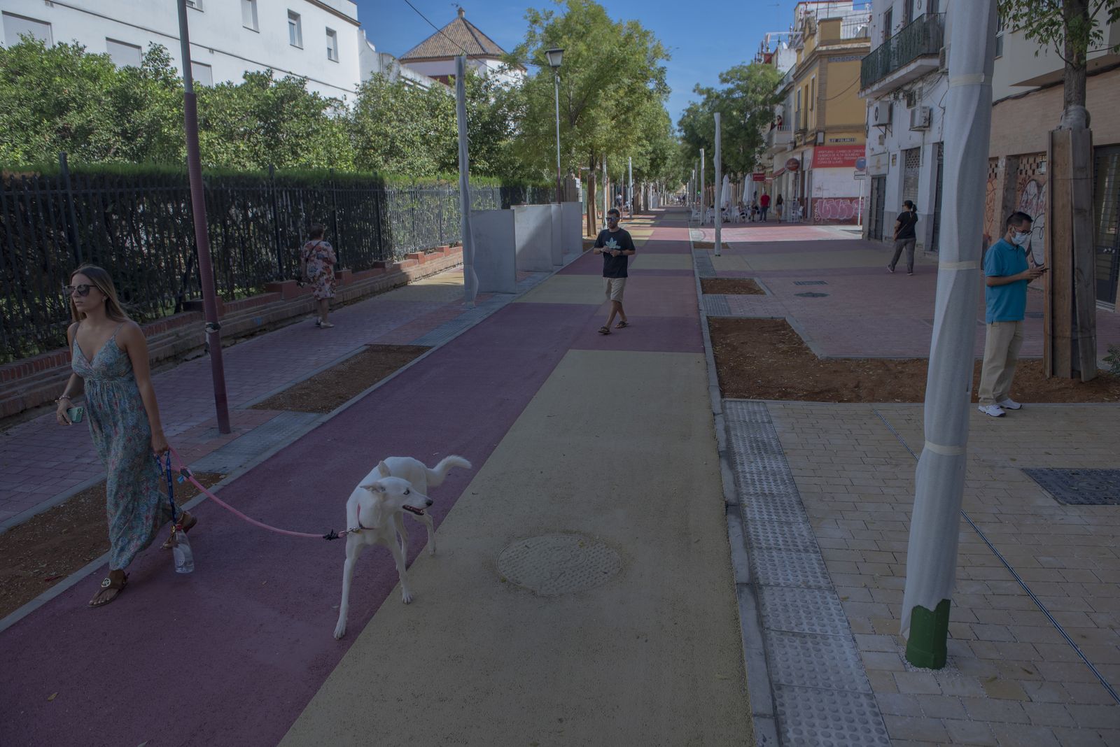 Las imágenes de la nueva Avenida de la Cruz Roja