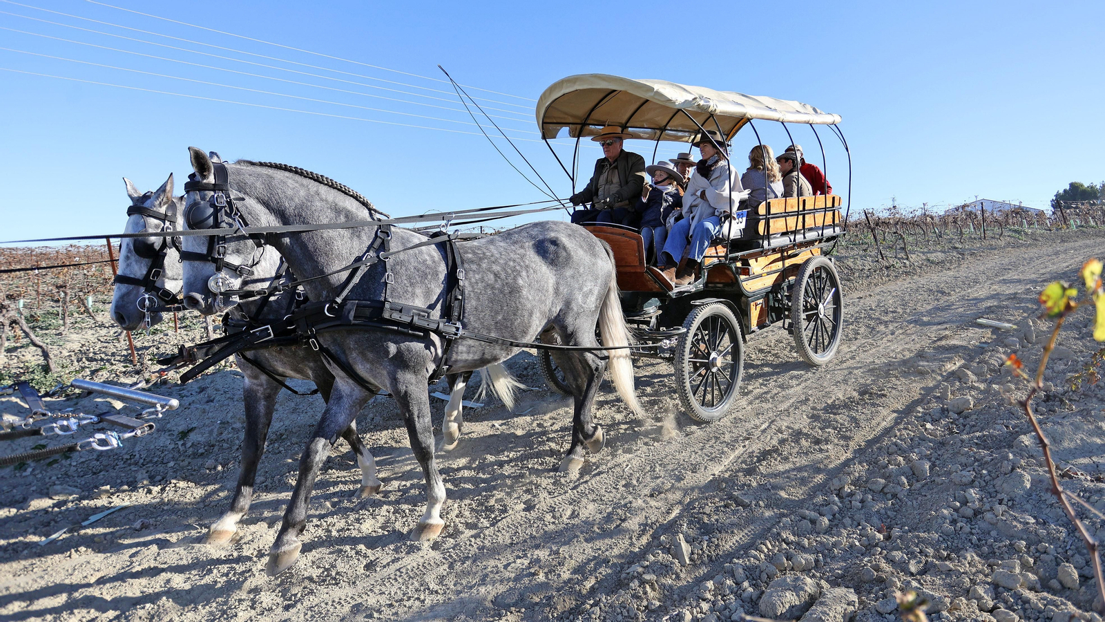 II Ruta Viñas de Jerez