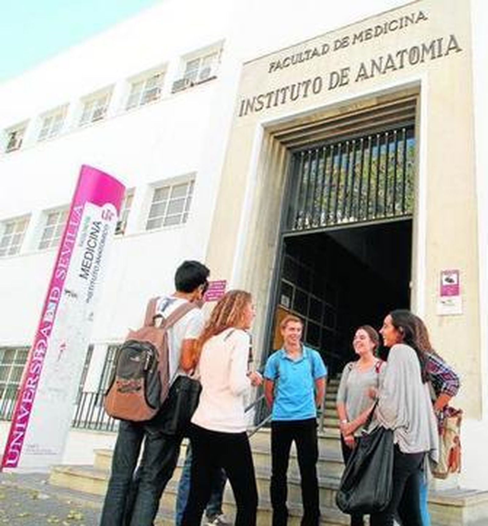 Varios estudiantes de la Facultad de Merdicina de la Universidad de Sevilla.