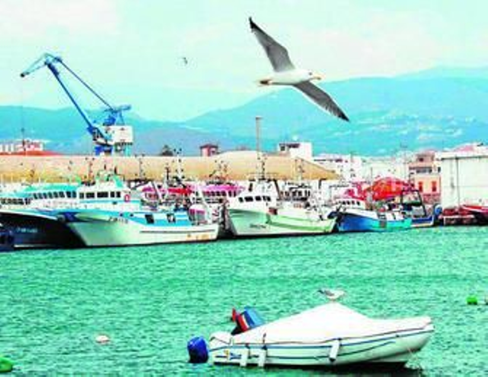 Imagen del puerto de Motril y de algunos de sus barcos pesqueros.