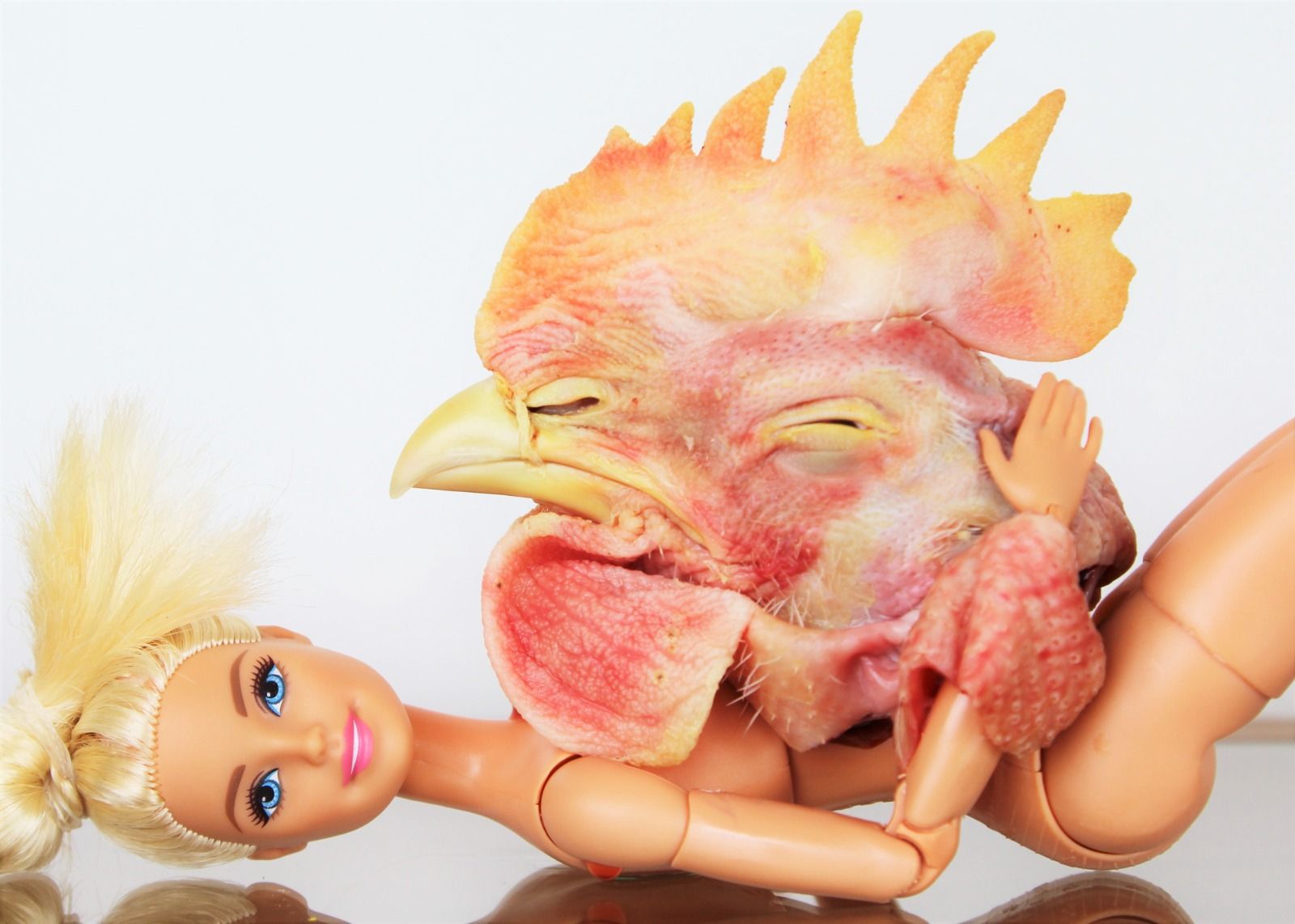 Imagen de Andres Morales.