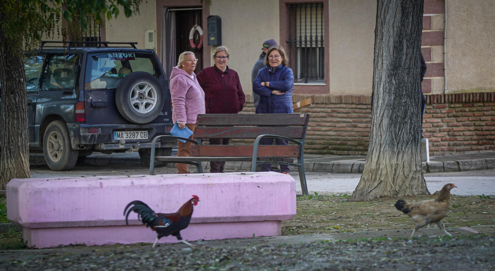 Imágenes de los vecinos de Mesas de Asta en los terrenos de Asta Regia