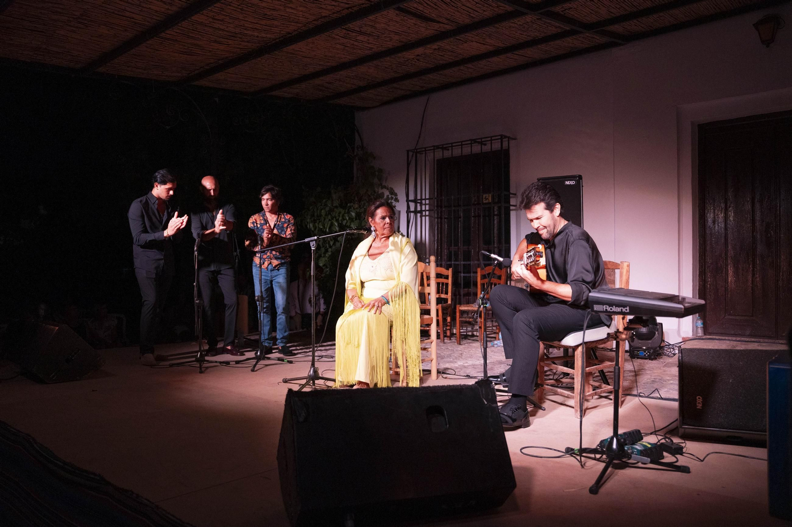 Las mejores imágenes del Festival de Flamenco en Fondón