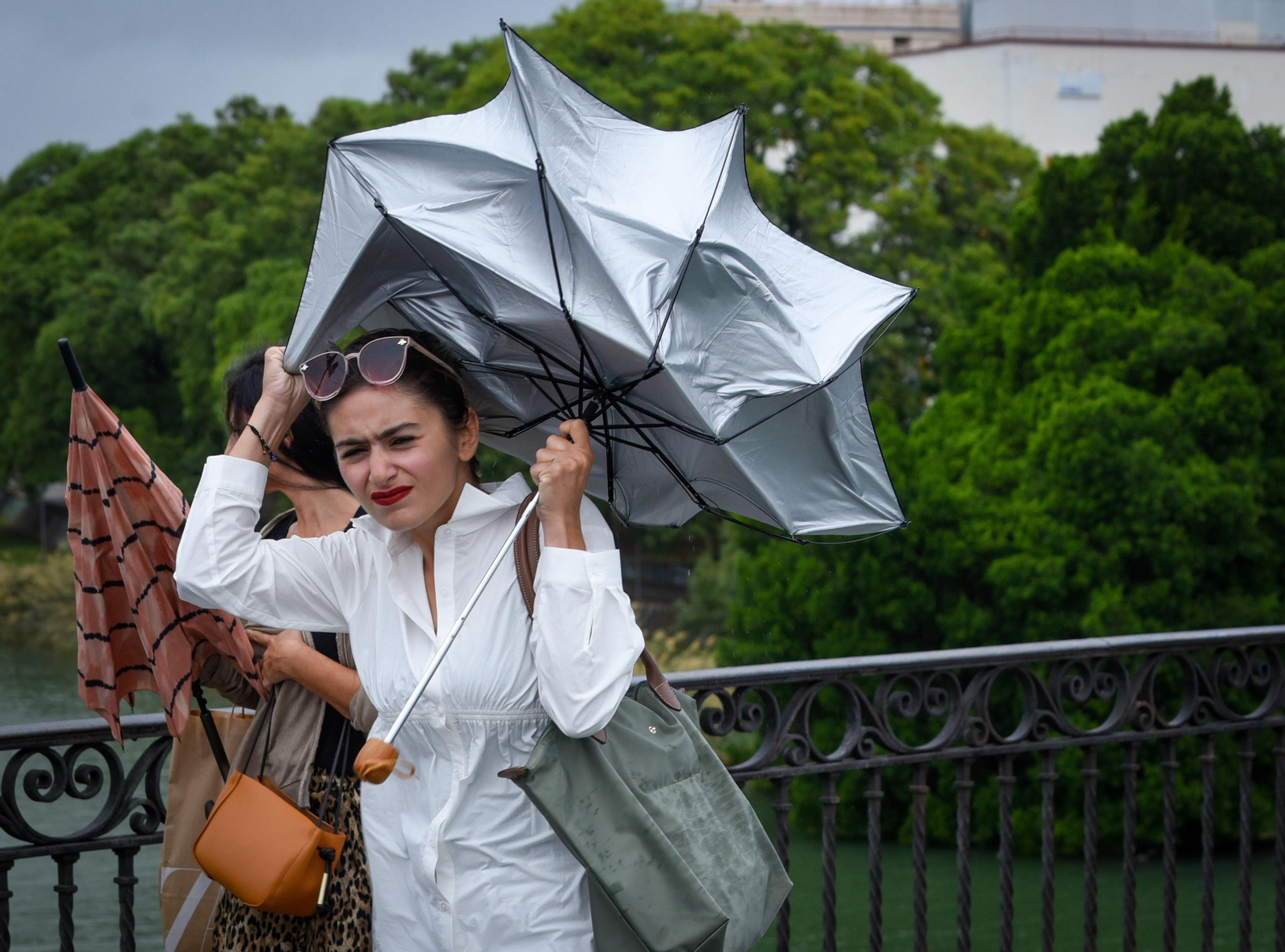 Imágenes del temporal de lluvia y viento en Sevilla