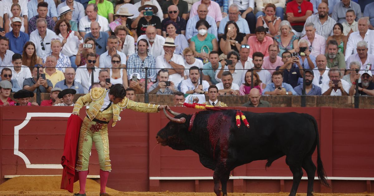 Crónica de la primera corrida de la Feria de San Miguel: Morante, punto ...