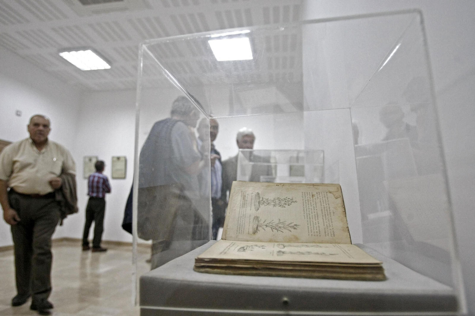 Fotos de la inauguración del centro documental José Luis Cano en Algeciras